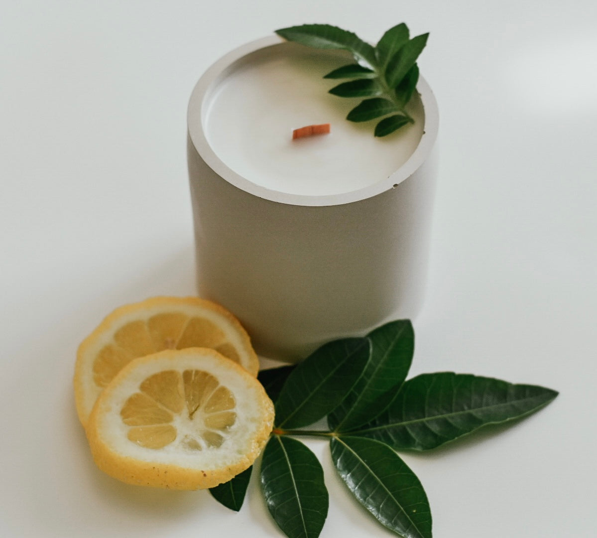 Spring & Summer Collection